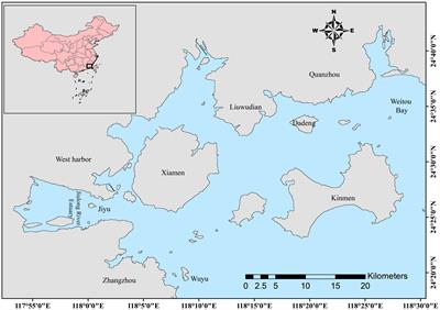 Assessing the effects of different management activities on the conservation of endangered Indo-Pacific humpback dolphin